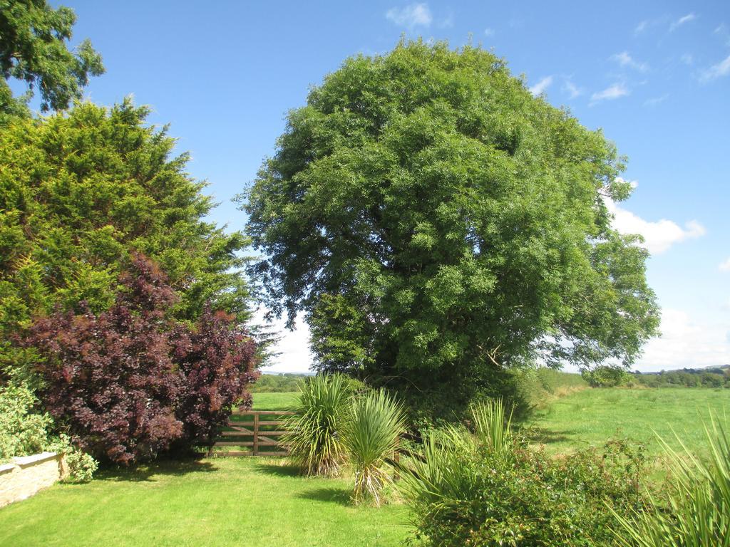 Tralia Farmhouse Self Catering Farranfore Exteriér fotografie