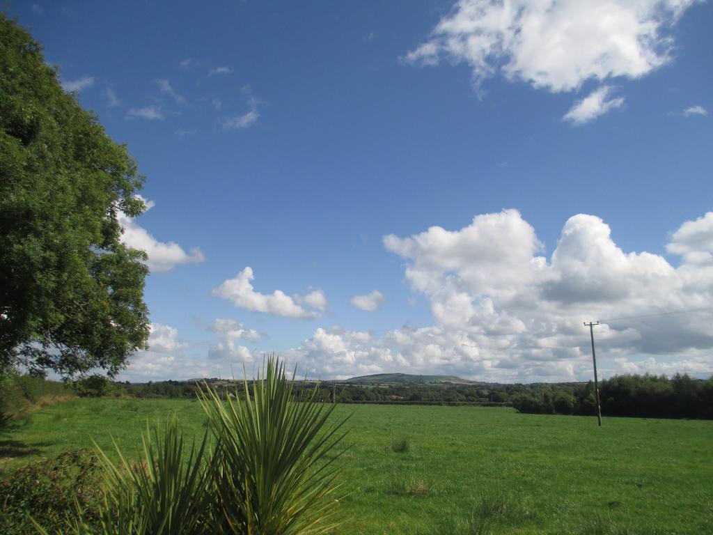 Tralia Farmhouse Self Catering Farranfore Exteriér fotografie