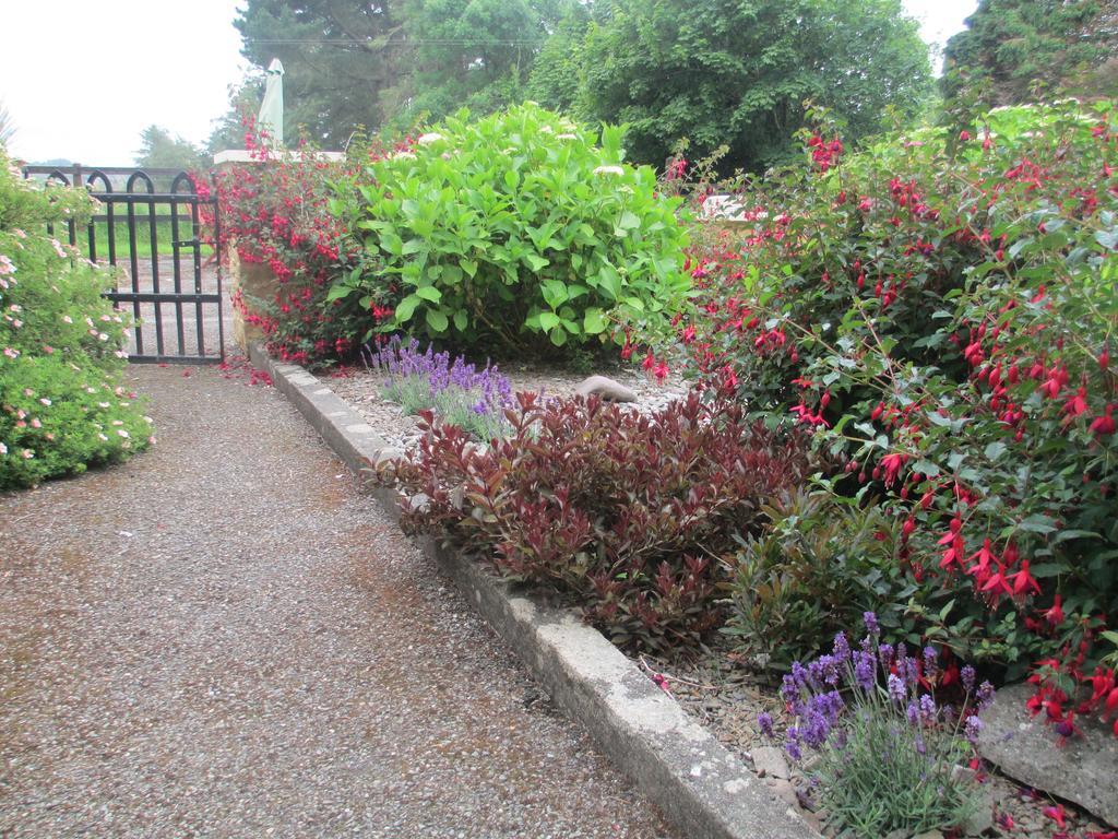 Tralia Farmhouse Self Catering Farranfore Pokoj fotografie